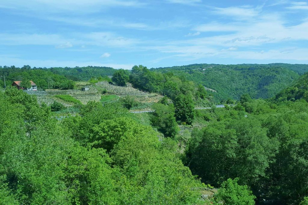 Close to Tarrio