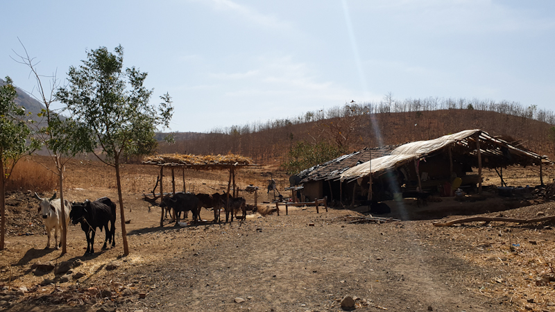 A stable on the way to Mandu